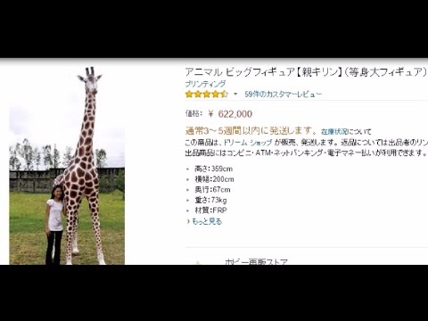 【爆笑】 Amazonのレビューが面白すぎる！ キリン編 【腹筋崩壊】