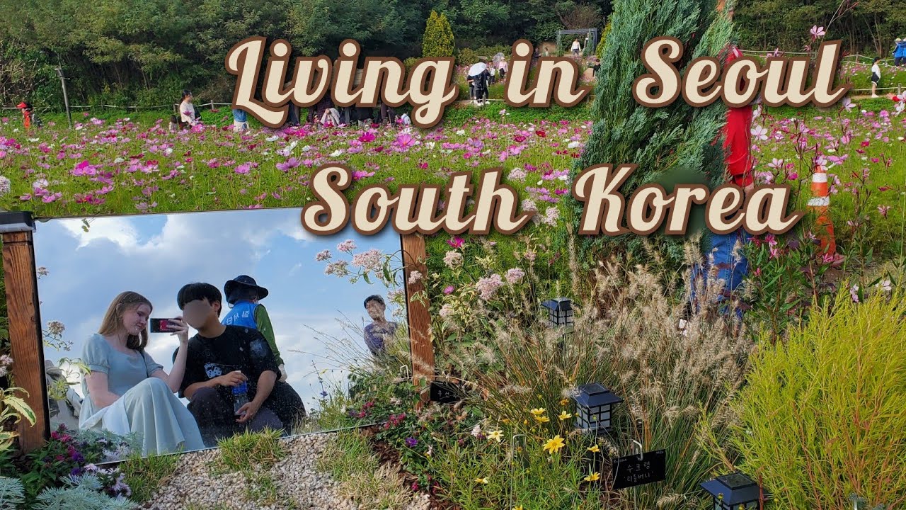 Month in my life Seoul South Korea - YouTube