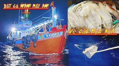 Mực ăn đêm thật tuyệt vời #sóng biển hứa đông