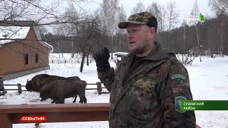 картинка: Как за 10 лет изменился Брянский лес. Сюжет к юбилею БГ 05 02 19