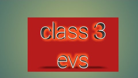 3rd evs lesson -2( part -2) our sense organs by sumitra Mm