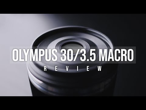 Olympus 30mm f/3.5 Macro - The Best Budget Macro Lens?