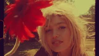 Dan Michel   She Loves Me Pick a Petal