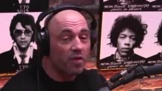 Joe Rogan Breaks Down Ronda Rousey Getting KO'd By Amanda Nunes  UFC 207