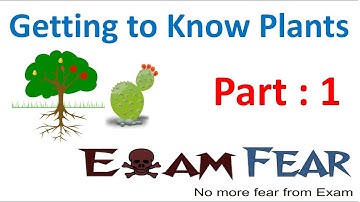 Biology Getting to Know Plants Part 1 (Introduction) Class 6 VI