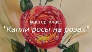 капли росы на розе