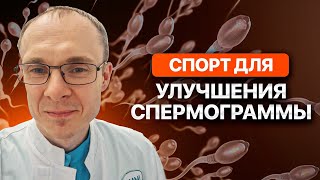 Спорт для улучшения спермограммы. Врач уролог-андролог. Москва.