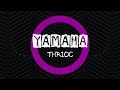Yamaha THR10C / Табачников