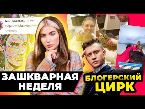 Недетский цирк с Прилучным 🐯 | Зашквар Недели