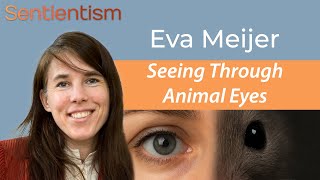 Eva Meijer | Citizens' Assemblies, With Animals Included | Multispecies Politics &amp; Art
