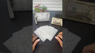 $250 Coach Wallet Cash Stuffing || Weekly Reset @coach