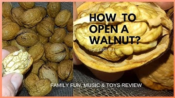 HOW TO OPEN A WALNUT Without A Nut Cracker | Walnuts |Family Fun