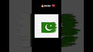 Pakistan flag photo change video editing #14august #shortvideo screenshot 4