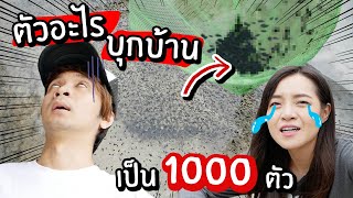 ตัวอะไรไม่รู้ บุกบ้านเป็น 1000 ตัว! // มันคืออะไร? ฝูงลูกอ๊อด? ทำไงดี?