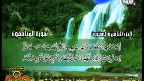 الشيخ محمد حسان سورة المنافقون