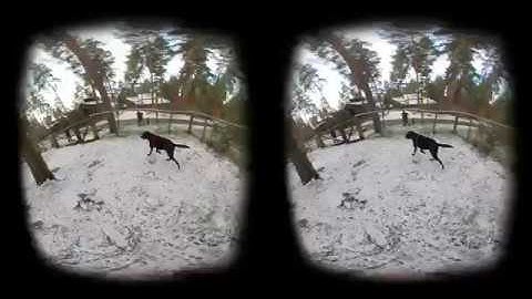 Qoocam test footage - metafile injected