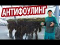 Главный секрет антифоулинга. Красим яхту правильно.