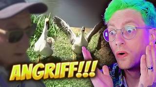 FRIEDEN war nie eine Option! 🔥ClipFarmGermany Reaction 013