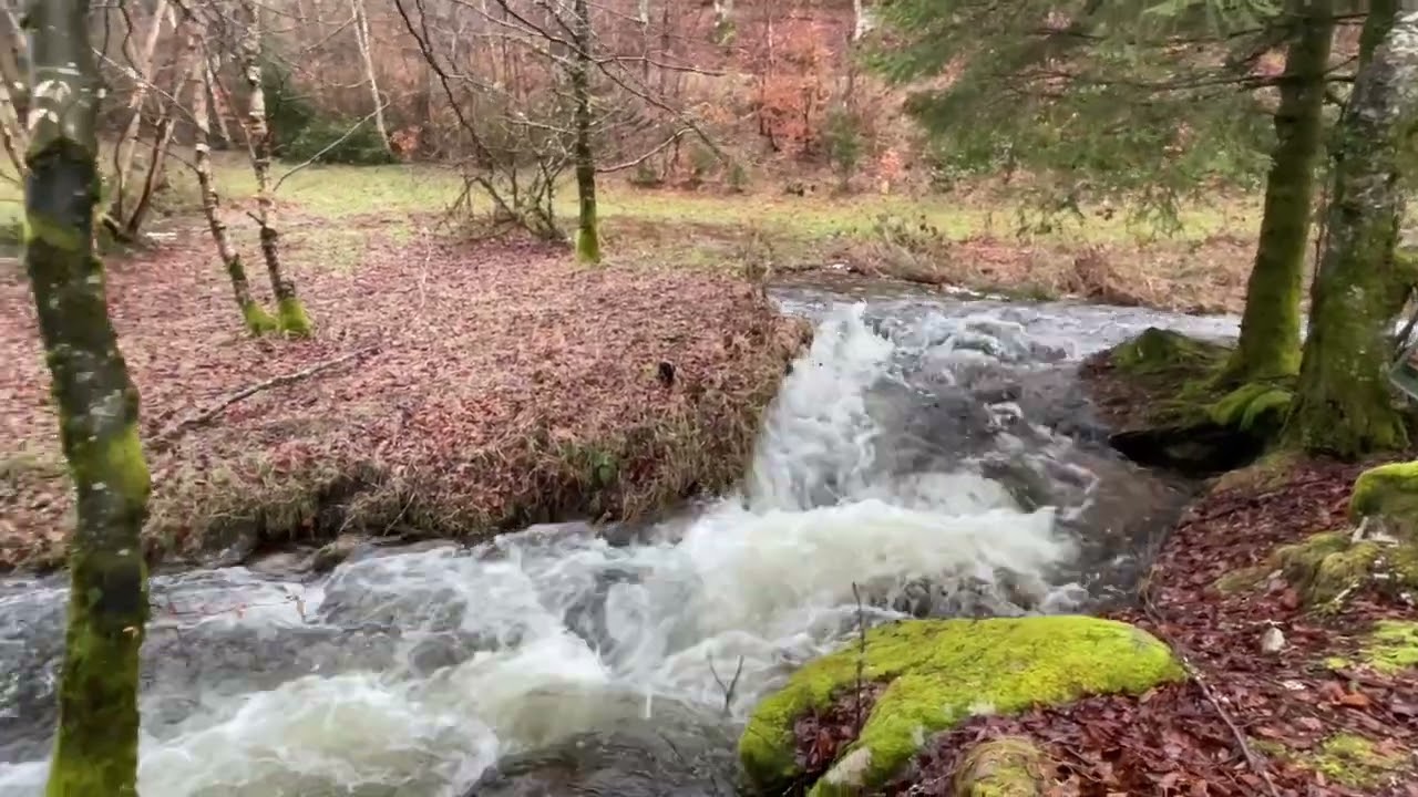 Feb 26 - Combe Prunde bewegt sich!