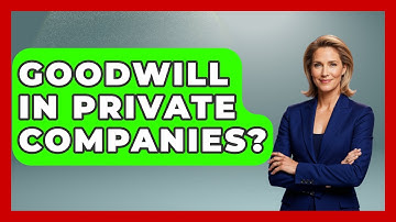 Goodwill In Private Companies? - Learn About Economics