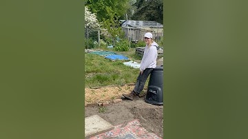 Day two on the plot 🌸