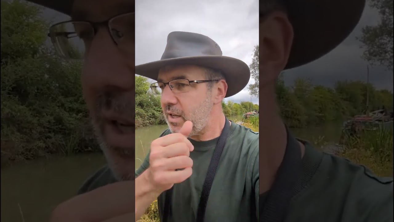 Bernicia 11, Hunlaf, and podcast updates!