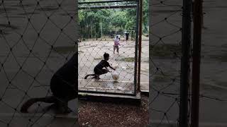 Download Lagu Gol..... Gol... Gol....Ale... ale... ale... MP3