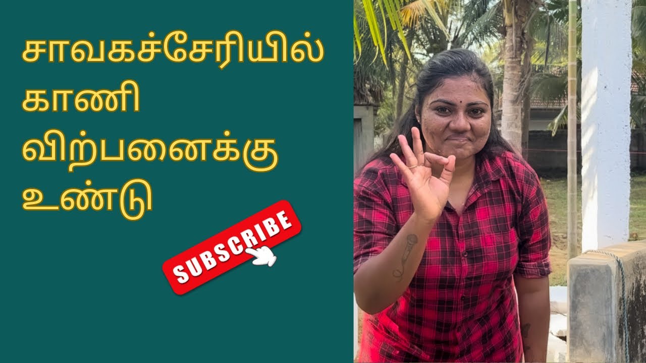 சாவகச்சேரியில் காணி வாங்க வேண்டுமா!?|#jaffna #realestate #chavakachcheri #land #realestateagent