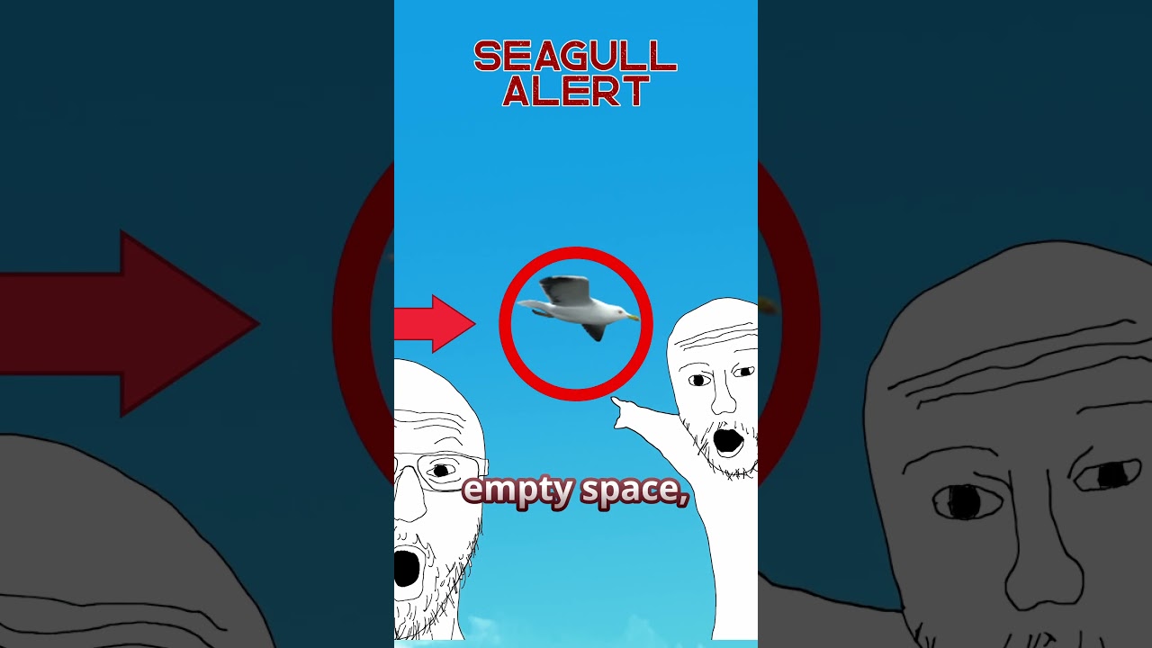 SEAGULLS are the star of my new Eurobeat MV! 🐦