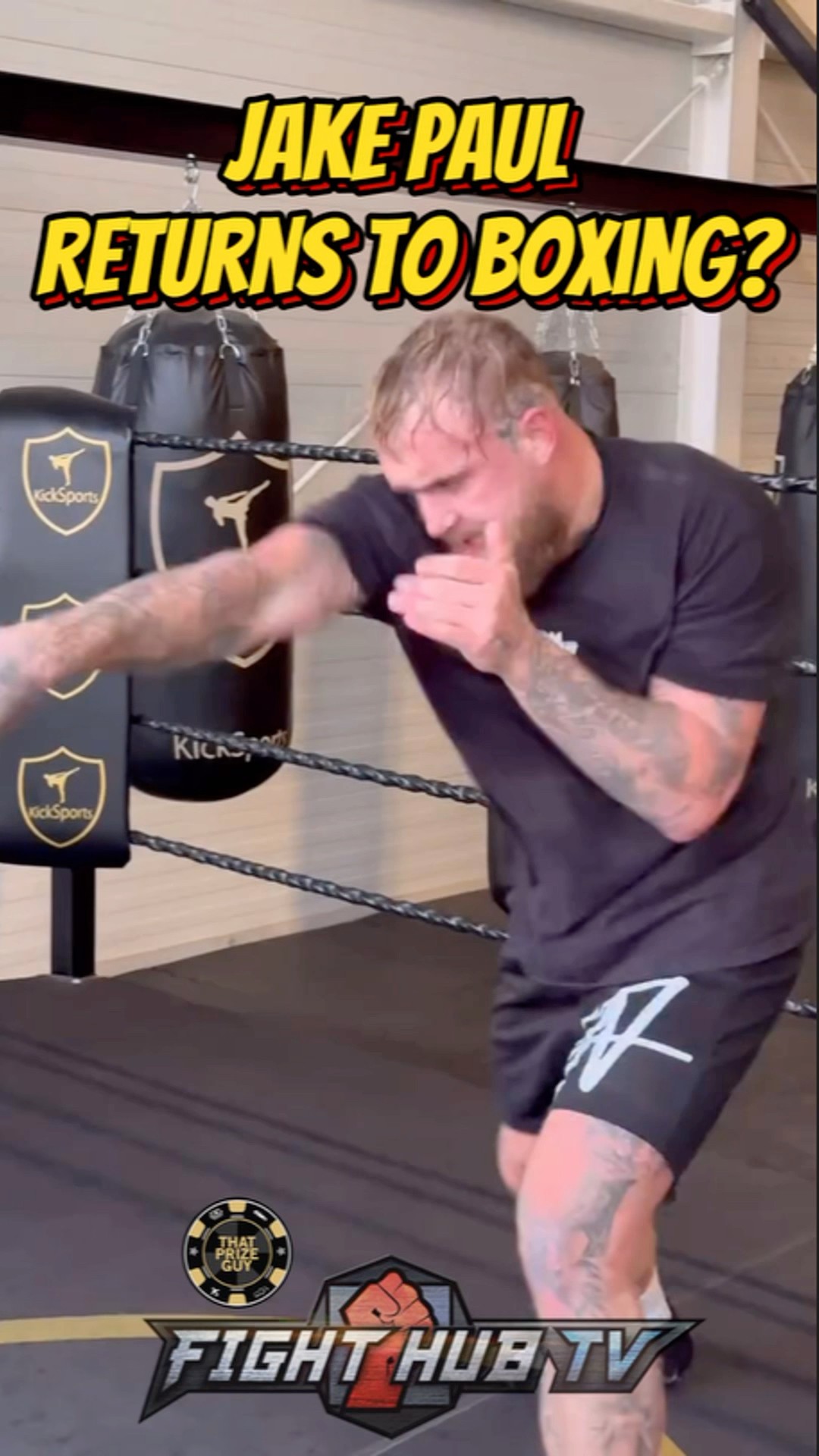 Jake Paul STARTS TRAINING for possible Conor McGregor COMEBACK fight!