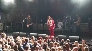 The Darkness - Solid Gold