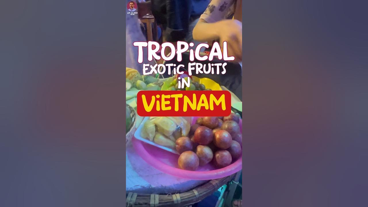 EXOTIC Fruits in the Tropical Fruit Paradise of Hanoi Vietnam 🌴🍍 - YouTube