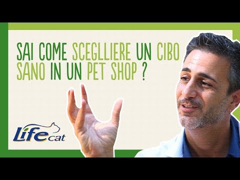 Video: Come Scegliere Un Gattino Persiano Sano?