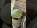 karele ki healthy juice 🥤🥤😋 #music #remix #bollywood #besanroti #automobile #besan #recipe #food #co