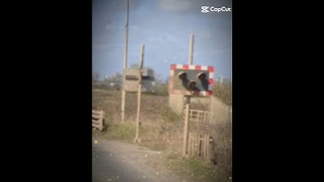 Abandoned Level Crossing Edit! (Part 6) #levelcrossing #train #googlemaps #abandoned #shorts