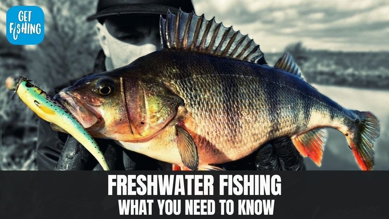 Freshwater Fishing - What You Need To Know To Start Fishing 