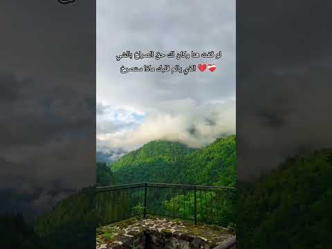 قل ماذا يالم قلبك المتعب اشترك بل قناة وفعلو الجرس ليصلكم كل جديد