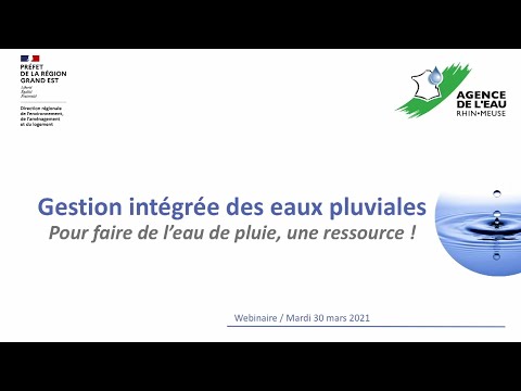 Vidéo: Preuve Minière Avant Les Inondations Vue Alternative