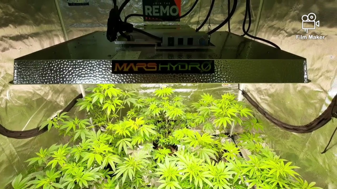 MARS HYDRO 5X5 TENT, TS3000, 6" AUTO EXHAUST FAN KIT W/ CONTROLLER