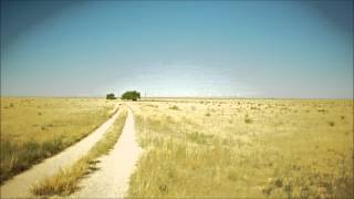 Winter Flags - Runner