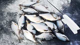 Рыбалка на подлещика Иркутское водохранилище 2022 