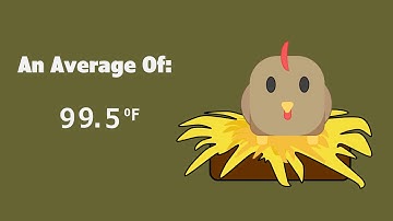 Intro to Hatching: Everything you need to know