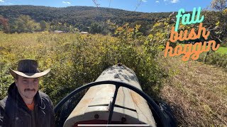 Bush hogging on a fall day with the Ford 8N. Fall cleanup, mowing.