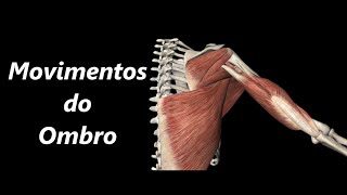 Movimentos do Ombro em 3D