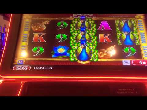 Konami Game Adorned Peacock *100 Free Games on Max Bet!