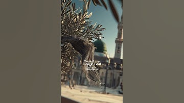 ربنا إنك من تدخل النار فقد أخزيته | سعود الشريم | سورة آل عمران