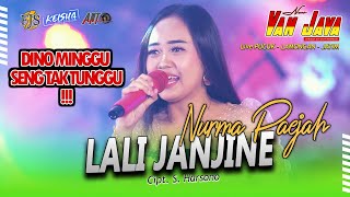 LALI JANJINE - NURMA PAEJAH NEW VAN JAVA LIVE PUCUK -  LAMONGAN