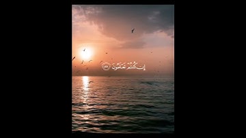 #تلاوة_هادئة  😌 في سكون الليل 🤍 القارئ : #ياسر_الدوسري 🎙 #روائع_التلاوات 🌹