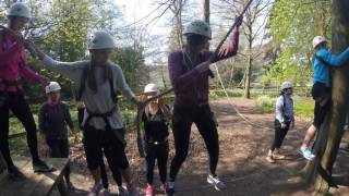 High Ropes Course Harrogate