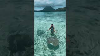 Would you swim with the sharks and stingrays in Bora Bora? 🦈 #shorts #borabora #goals